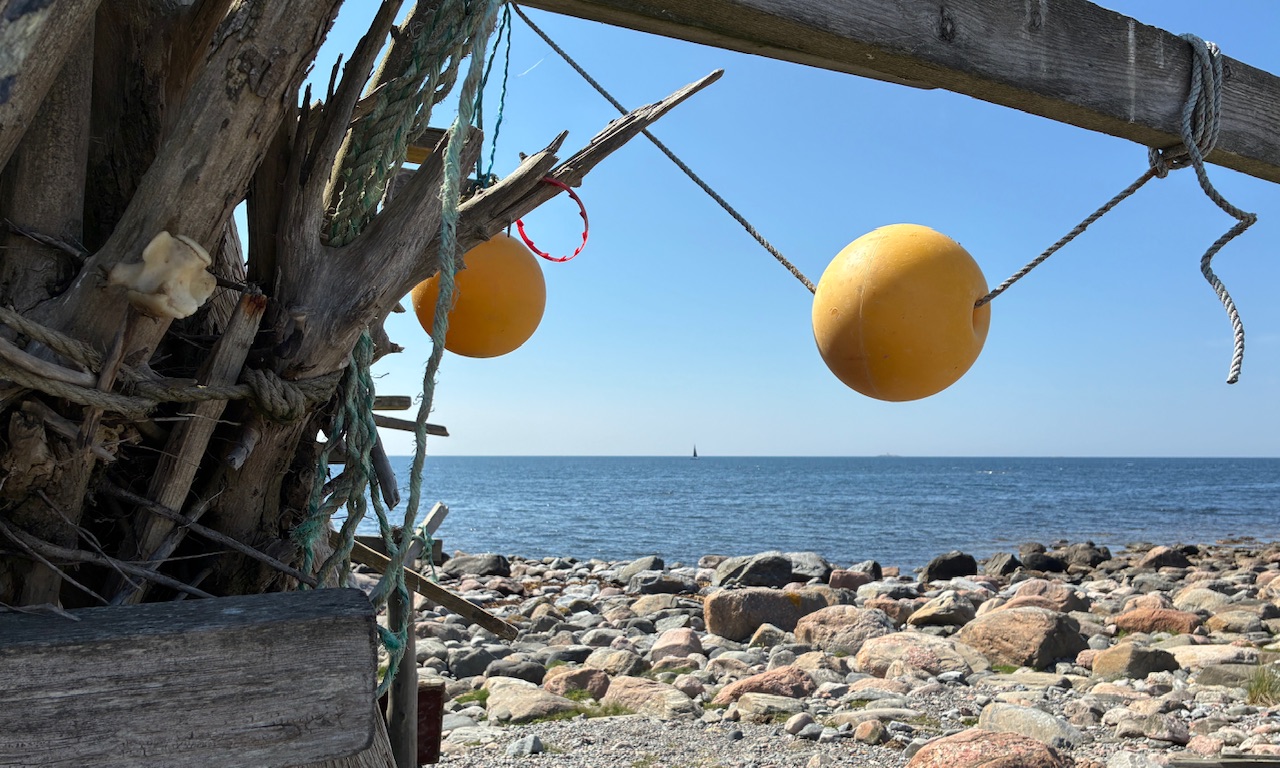 Piratön i norr