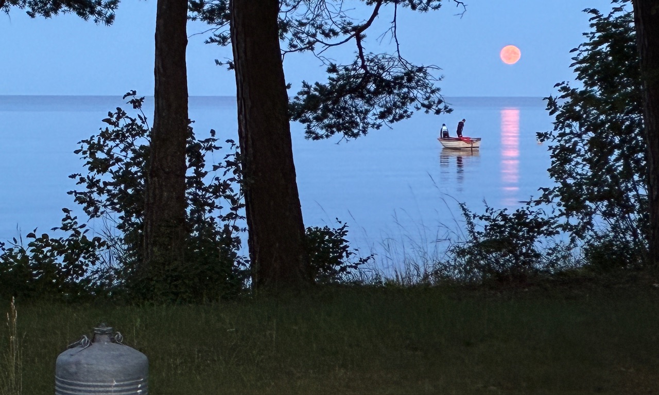 Hos strandtomtarna